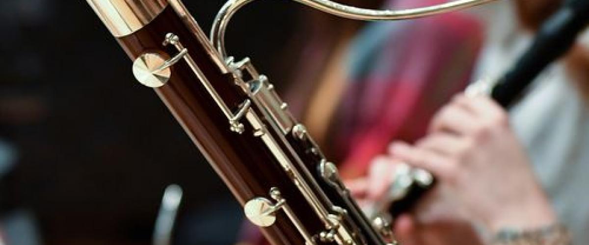Photo of a woodwind instrument