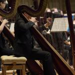 CWRU Harp