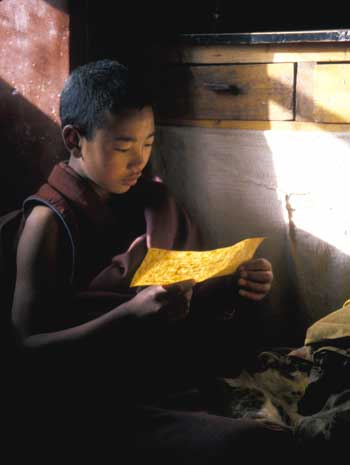 Photo of young Tibetan Monk reading parchment paper in a monastery 