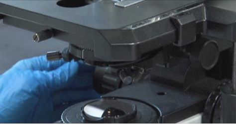 a gloved hand operating a microscope