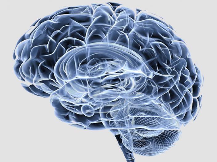 Gray brain transparent neurobiological research Case Western Reserve University