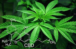 Marijuana leaf with chemical compound formula