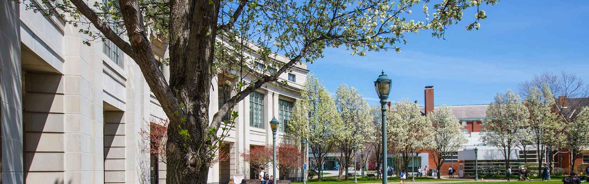 exterior of buildings with trees flowering