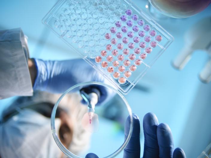 View through glass looking up at a scientist in PPE pipetting into a petri dish
