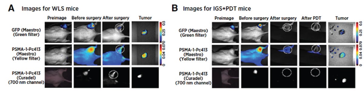 Basilion figure on PSMA