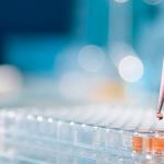 Lab experiment