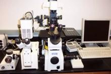 Spinning disc confocal fluorescence microscope.