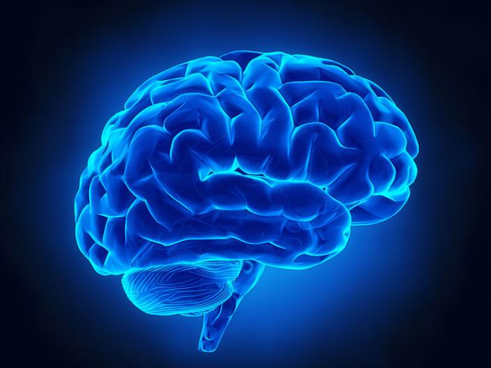 Close up image of a brain illustration 
