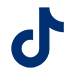 TikTok Logo