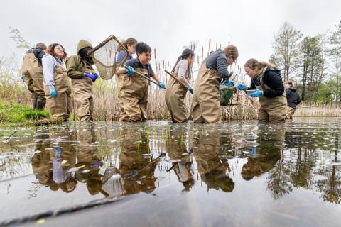 Students in wading gear and carrying nets work in a bog.