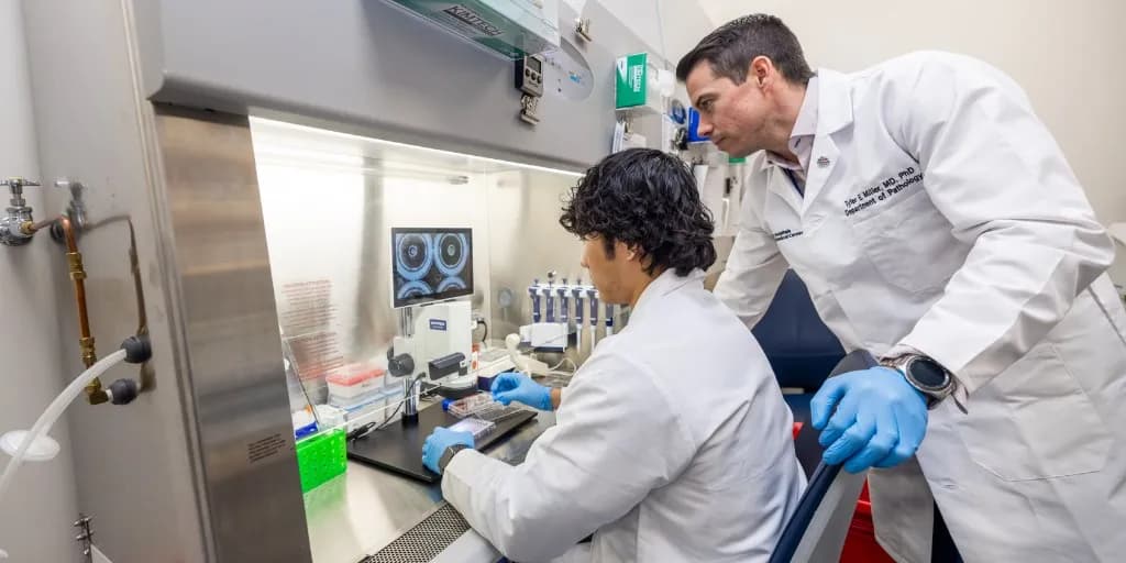 Researchers in lab coats working at a biosafety cabinet