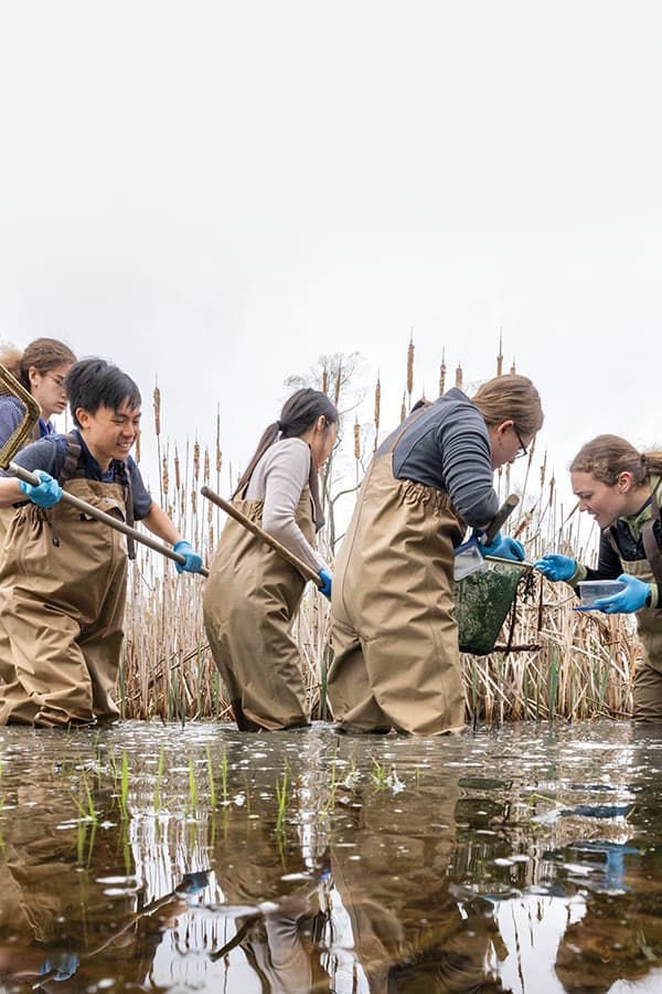 College of Arts and Sciences students doing field work in estuary