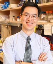 Alex Huang, MD, PhD