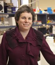 Portrait of Susann Brady-Kalnay in a laboratory