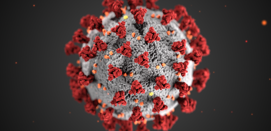 Illustration of coronavirus (COVID-19) molecule