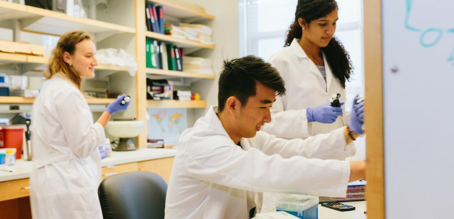 Three students working in lab