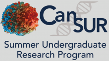 Cancer Summer Undergraduate Research Program graphic