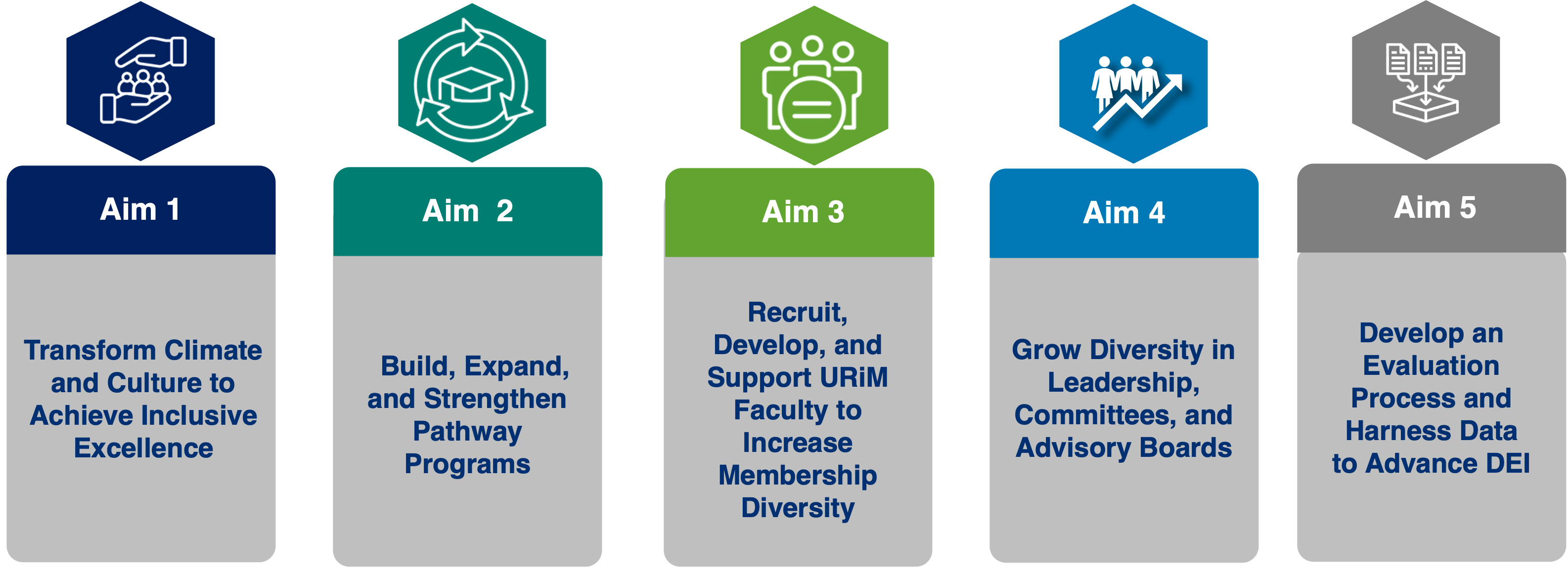 Plan to Enhance Diversity Five Aims: 1) Transform Climate and Culture to Achieve Inclusive Excellence; 2) Build, Expand, and Strengthen Pathway Programs; 3) Recruit, Develop, and Support URiM Faculty to Increase Membership Diversity; 4) Grow Diversity in Leadership, Committees, and Advisory Boards; 5) Develop an Evaluation Process and Harness Data to Advance DEI