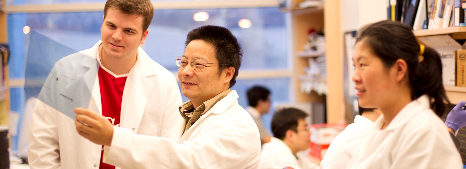 Researchers collaborate in a laboratory while reviewing scientific data.