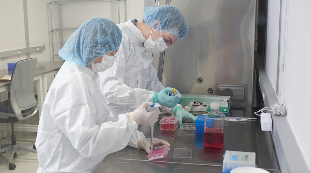 Two researchers in protective laboratory clothing work with cell culture samples at a laboratory bench.