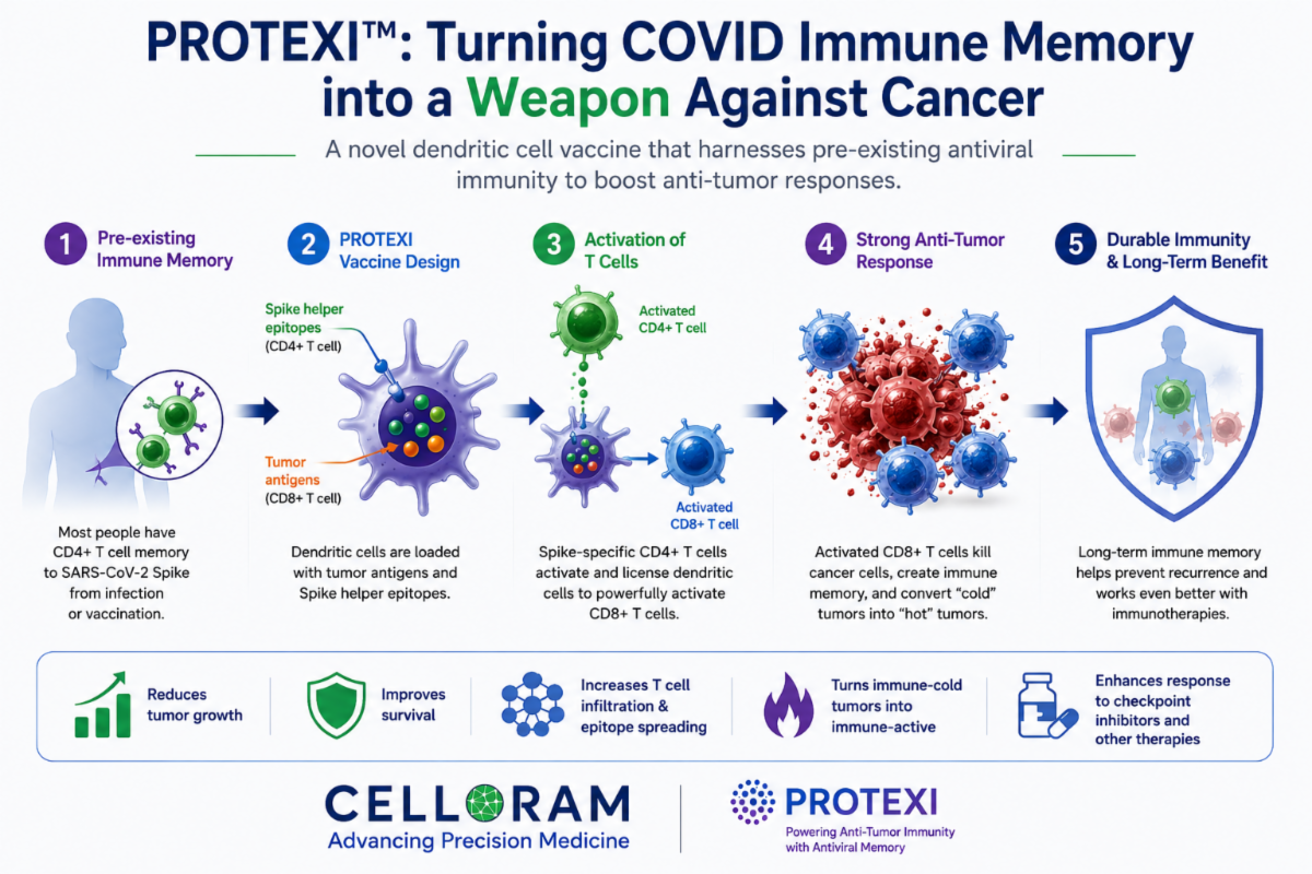 Infographic illustrating how the PROTEXI vaccine uses existing COVID-19 immune memory to activate T cells that target cancer cells, strengthen anti-tumor immunity, and provide long-term immune protection.