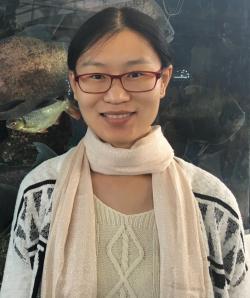 Headshot of Xin Liu