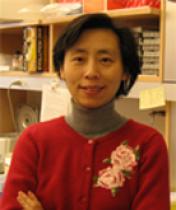 Dr. Lan Zhou
