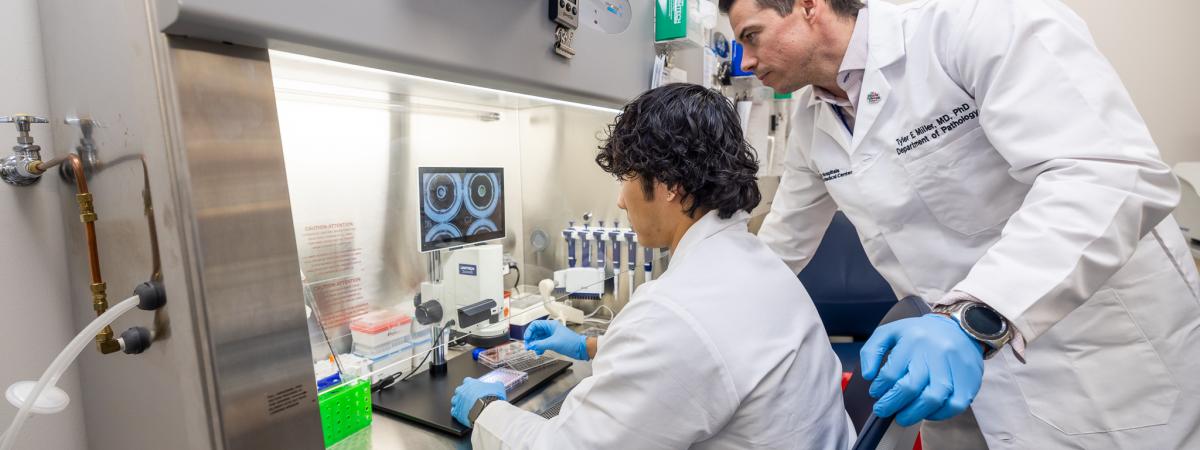 Two researchers in laboratory coats examine samples and data together while working at a laboratory bench.