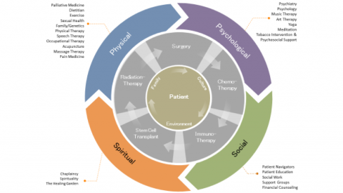 Graphic of the Supportive and Integrative Oncology Program