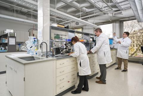 Researchers working in a 11000 Cedar Incubator lab