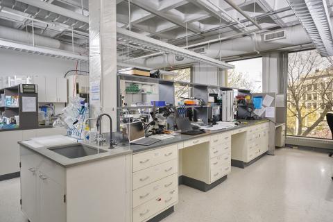 A well-equipped laboratory with various equipment and a desk for experiments and research.