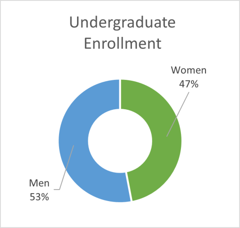 undergrad enrollment by gender pie graph