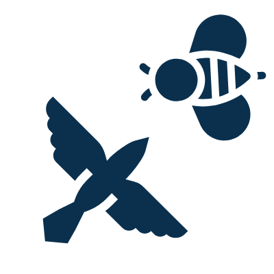 Icon of a bird and a bee