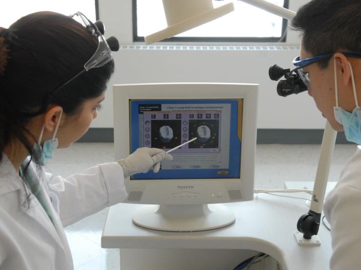 two individuals looking at a scan on a computer screen