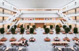 Samson Pavilion Atrium