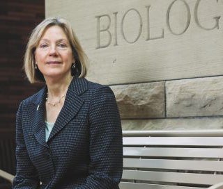 Research Highlights Subfeature Image Lynn T Singer Deputy Provost