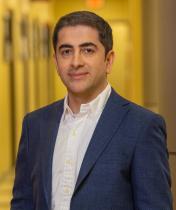M. Hassan Najafi