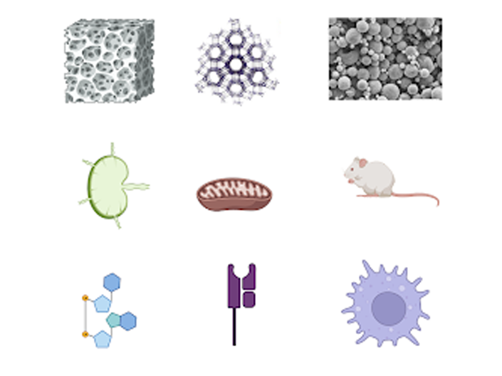 Various Science Illustrations