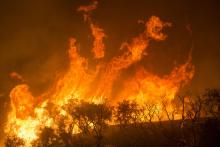 Image of a wildfire.
