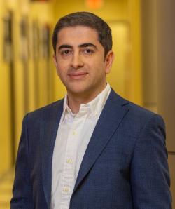 M. Hassan Najafi