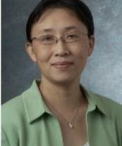 Image of headshot of Xin Yu