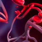 Blood Cells