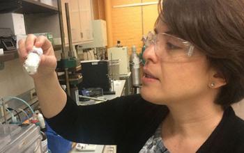 Groundbreaking research led by Case Western Reserve University team aims to convert greenhouse gas into valuable products with electricity