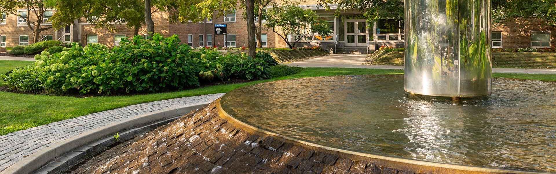 fountain with tree and a walkway