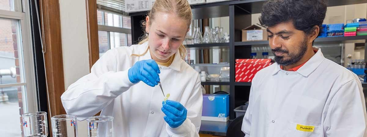Two students in a lab looking a pipette