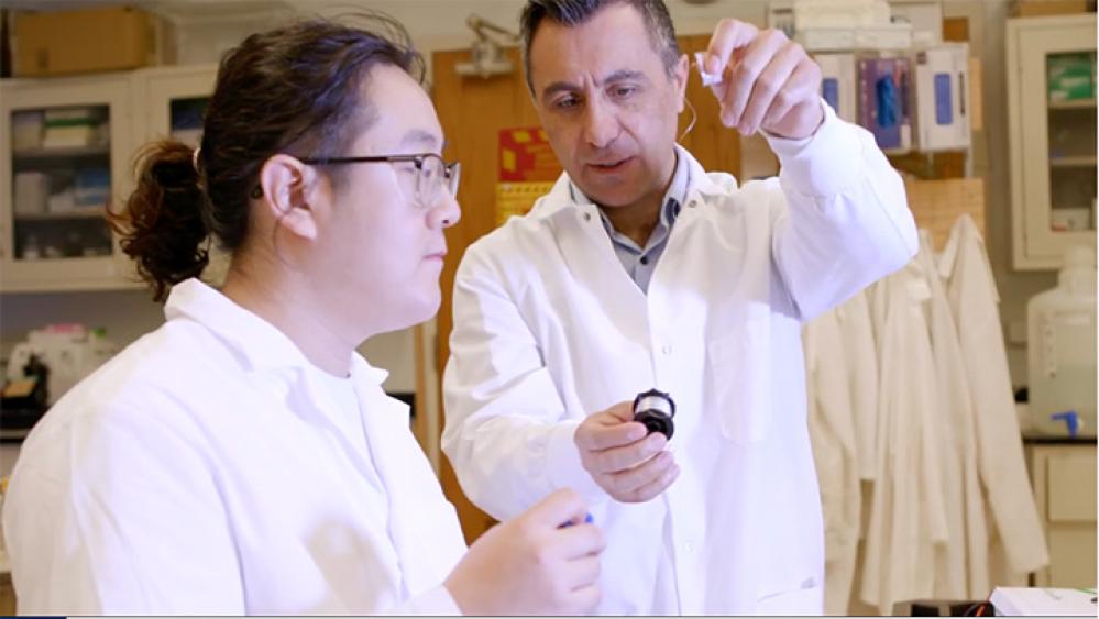 two people in a lab looking at a string