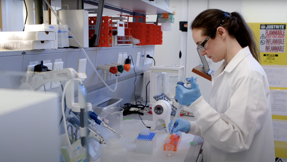 Christine Duval working in the lab