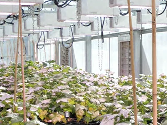 Testbeds in a greenhouse