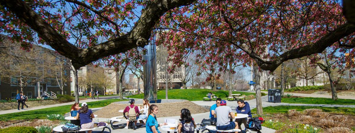 Facilities Services | Case Western Reserve University