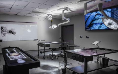Picture of a completed Anatomy Lab